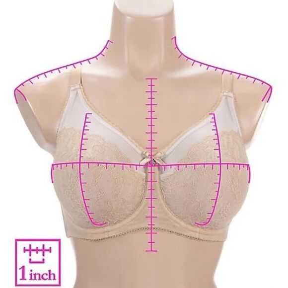 Wacoal NWT Retro Chic Full Figure Underwire Lace Bra Sz 36DD - Picture 3 of 5